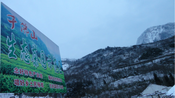 千佛山綿陽最新探索，巷弄深處的獨(dú)特風(fēng)味之旅