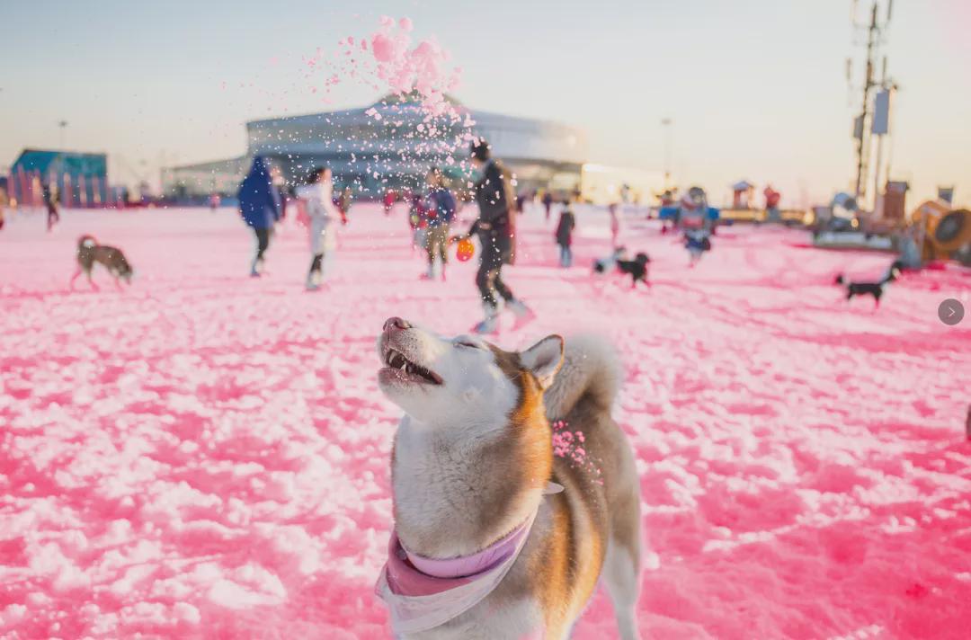 小信的世界最新科技前沿產(chǎn)品亮相，生活變革從此刻啟程