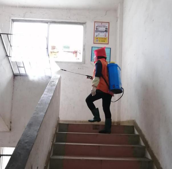 蓬江區(qū)最新高科技住宅，重塑未來生活體驗的首選之地