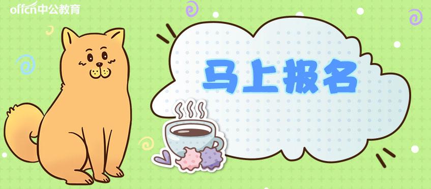 通安最新招聘，啟程探索自然美景，尋找內心的寧靜之旅