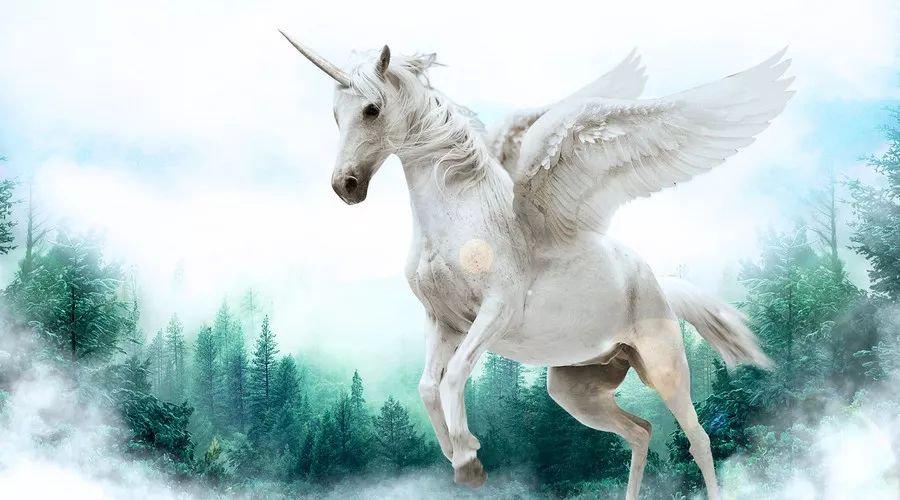 中國最新獨角獸，自信與成就感的源泉